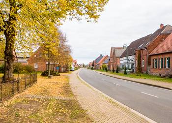Dorfstraße in Bellingen, links stehen große Bäume