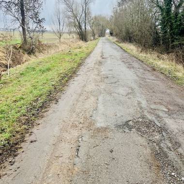 Stark beschädigte Straße im grünen