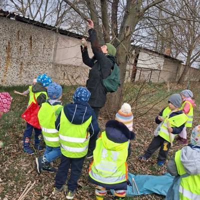 Die Kinder stehen gemeinsam mit der Erzieherin um einen Baum herum