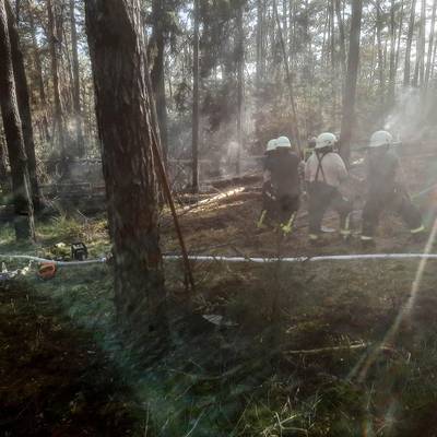 rechts stehen Feuerwehrleute bei Löscharbeiten im Wald; es liegt Rauch in der Luft