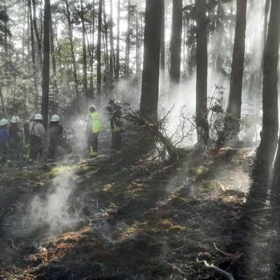 links sind Feuerwehrleute bei Löscharbeiten im Wald zu sehen; es liegt Rauch in der Luft