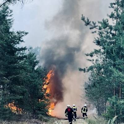 Drei Feuerwehrleute löschen einen Waldbrand